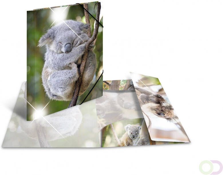 Elastomappen glossy dieren A3 PP koala