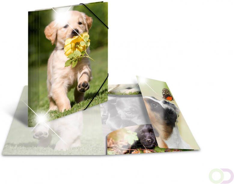 Elastomappen glossy dieren A4 PP honden