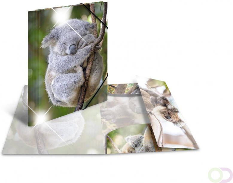 Elastomappen glossy dieren A4 PP koala