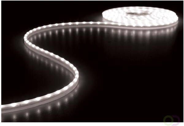 FLEXIBELE LED STRIP KOUD WIT 6500K 300 LEDs 5m 12V