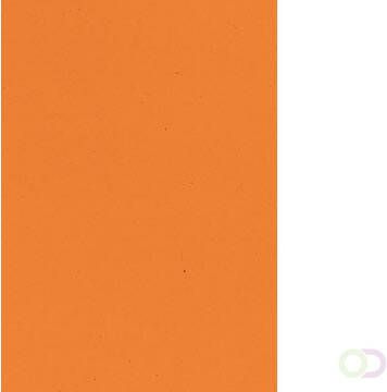 Merkloos Tekenpapier Gekleurd oranje
