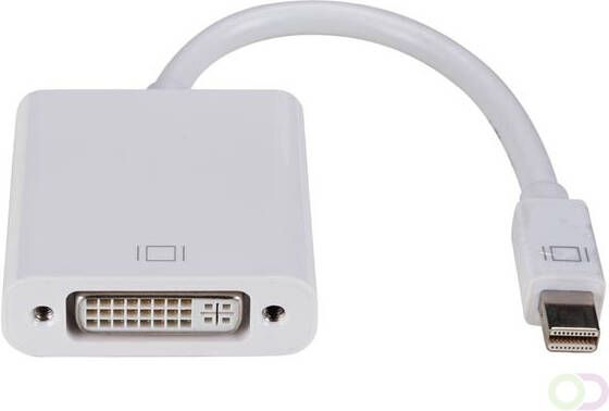 MINI DISPLAYPORT NAAR DVI ADAPTER 17 cm M V