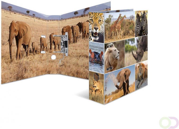 Motief ordner A4 dieren afrika dieren