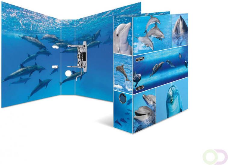 Motief ordner A4 dieren dolfijnen