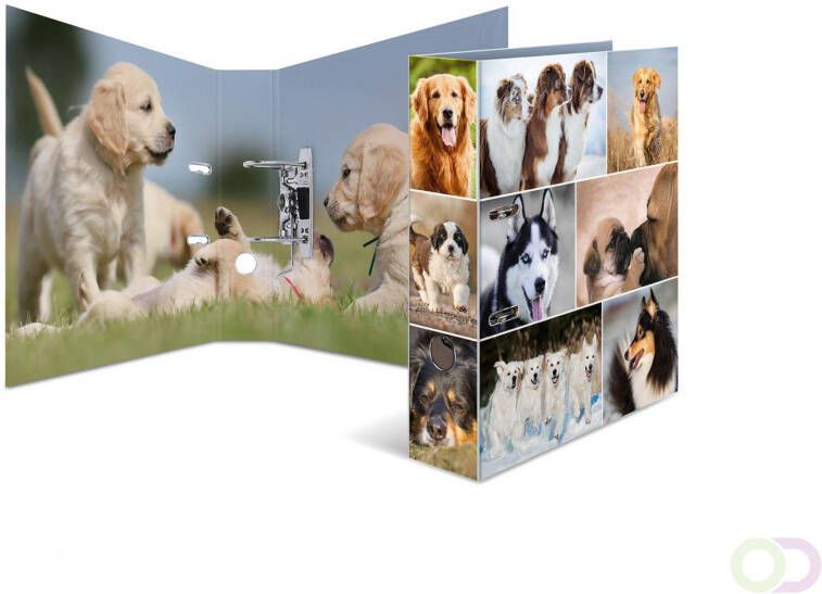 Motief ordner A4 dieren honden