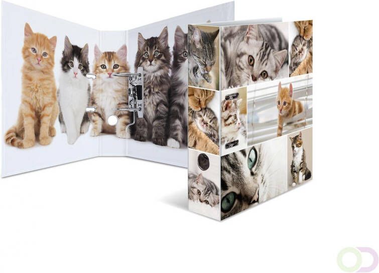 Motief ordner A4 dieren katten
