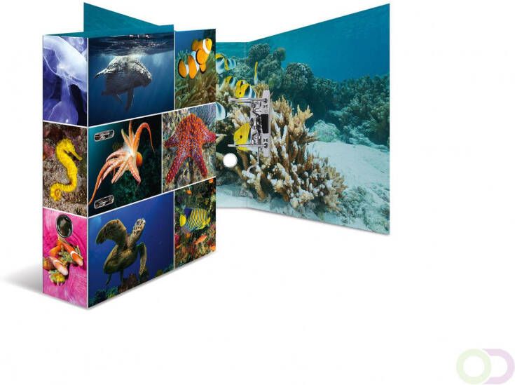 Motief ordners A4 dieren zeedieren
