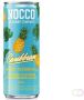 Merkloos Nocco frisdrank Caribbean blikje van 250 ml pak van 12 stuks - Thumbnail 2