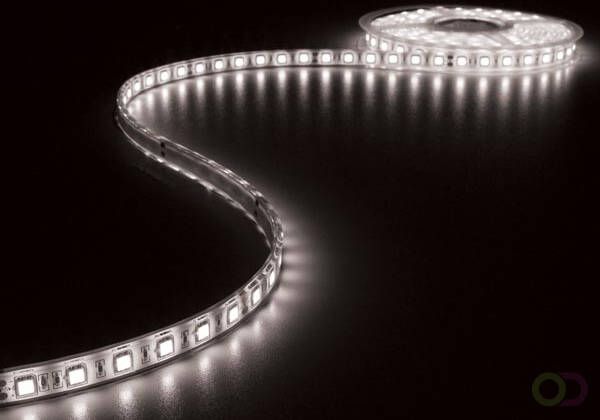 WATERDICHTE IP68 FLEXIBELE LEDSTRIP WIT 300 LEDS 5m 24VDC