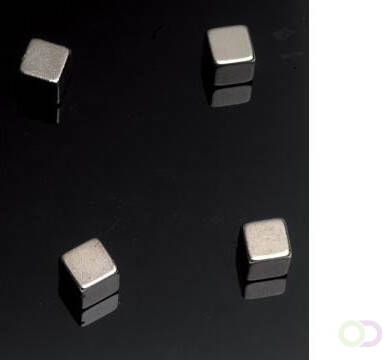 Naga magneet voor glasborden ft 10 x 10 x 10 mm 4 stuks