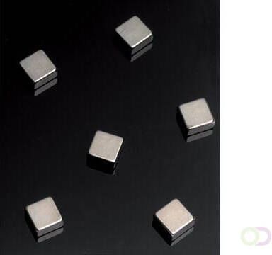 Naga Magneten voor glasborden 6 stuks ft 10 x 10 x 5 mm