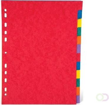 Pergamy tabbladen ft A4 11-gaatsperforatie stevig karton geassorteerde kleuren 12 tabs