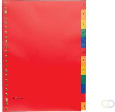 Pergamy tabbladen ft A4 23-gaatsperforatie PP geassorteerde kleuren set 1-12