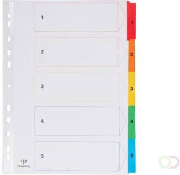 Pergamy tabbladen met indexblad ft A4 11 gaatsperforatie geassorteerde kleuren set 1 5