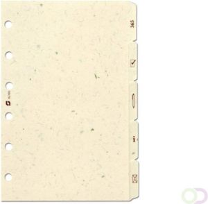 Succes 5 Tabkaarten Symbolen Papier CrÃ¨me