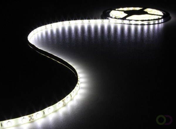 Velleman FLEXIBELE LEDSTRIP KOUDWIT 300 LEDs 5 m 12 V