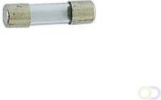 Velleman ZEKERING 5 x 20mm TRAAG 20A (10st. doos)