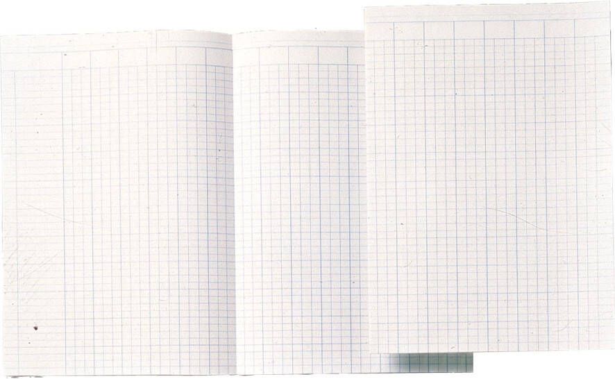 Atlanta by Jalema Accountantspapier ft A4 opengevouwen tot 29 4 x 41 4 cm