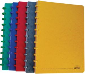 Atoma Classic schrift ft A4 100 bladzijden geruit 5 mm geassorteerde kleuren