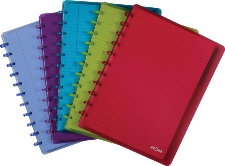 Atoma Trendy schrift ft A4 + 120 bladzijden gelijnd met 6 tabbladen en 5 showtassen in geassorteerde - Foto 2