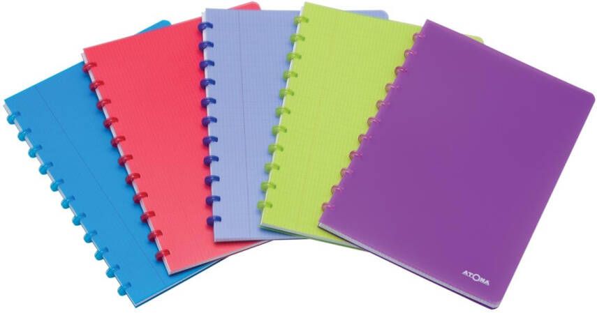 Atoma Trendy schrift ft A4 144 bladzijden PP geruit 5 mm geassorteerde kleuren