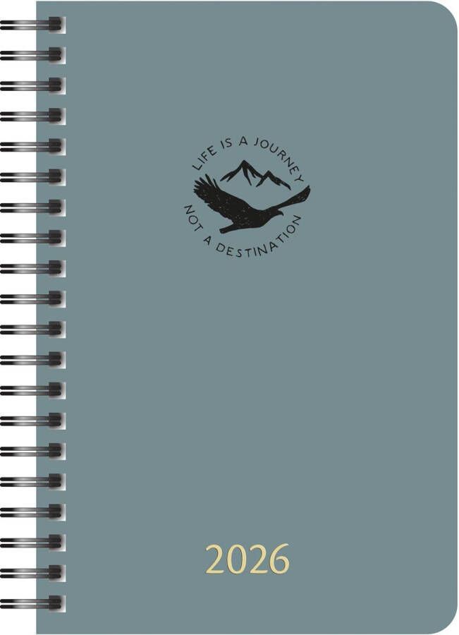 Aurora Daily 32W PP 500 micron color geassorteerde kleuren 2022