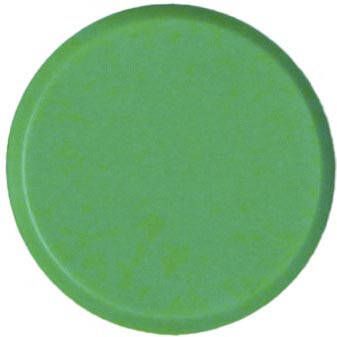 Bouhon magneten 10 mm groen pak van 10 stuks
