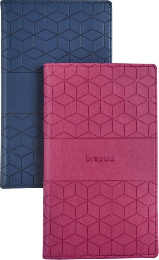Brepols Interplan Cube assorti 2026
