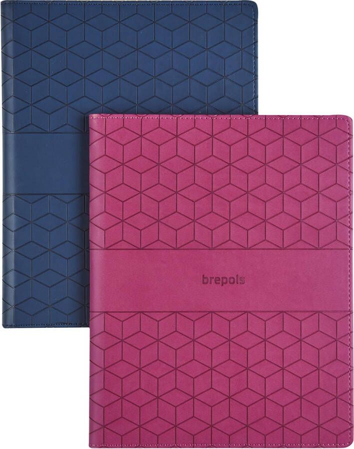 Brepols Timing Cube assorti 2026