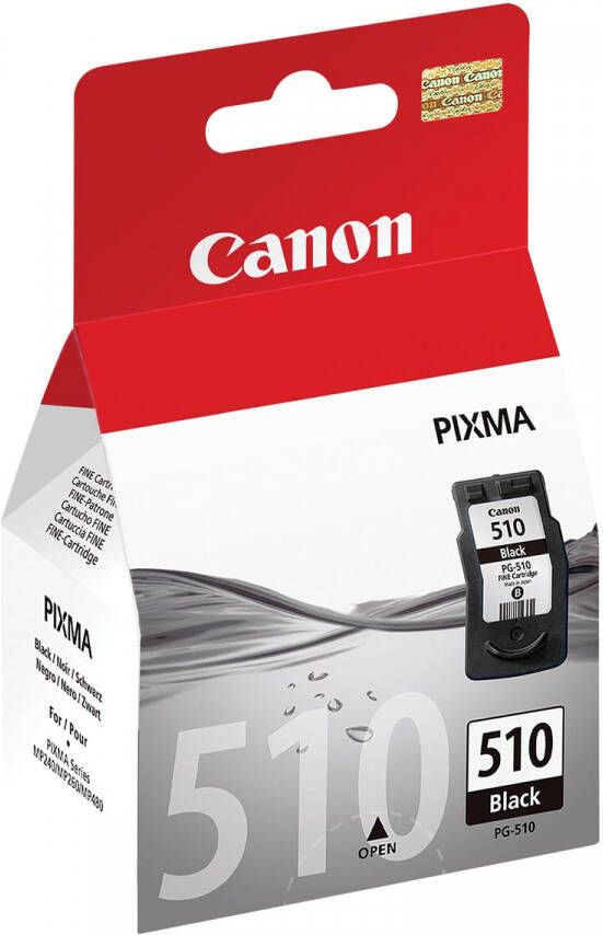 Canon inktcartridge PG-510 220 pagina&apos;s OEM 2970B001 zwart