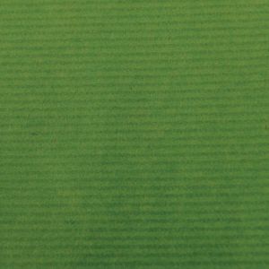 Canson kraftpapier ft 68 x 300 cm groen