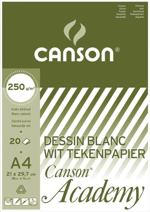 Canson tekenpapier Academy 250 g ft 21 x 29 7 cm A4 blok van 20 vel