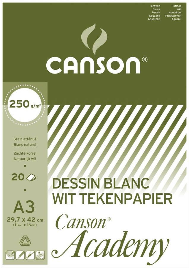 Canson tekenpapier Academy 250 g ft 29 7 x 42 cm A3 blok van 20 vel