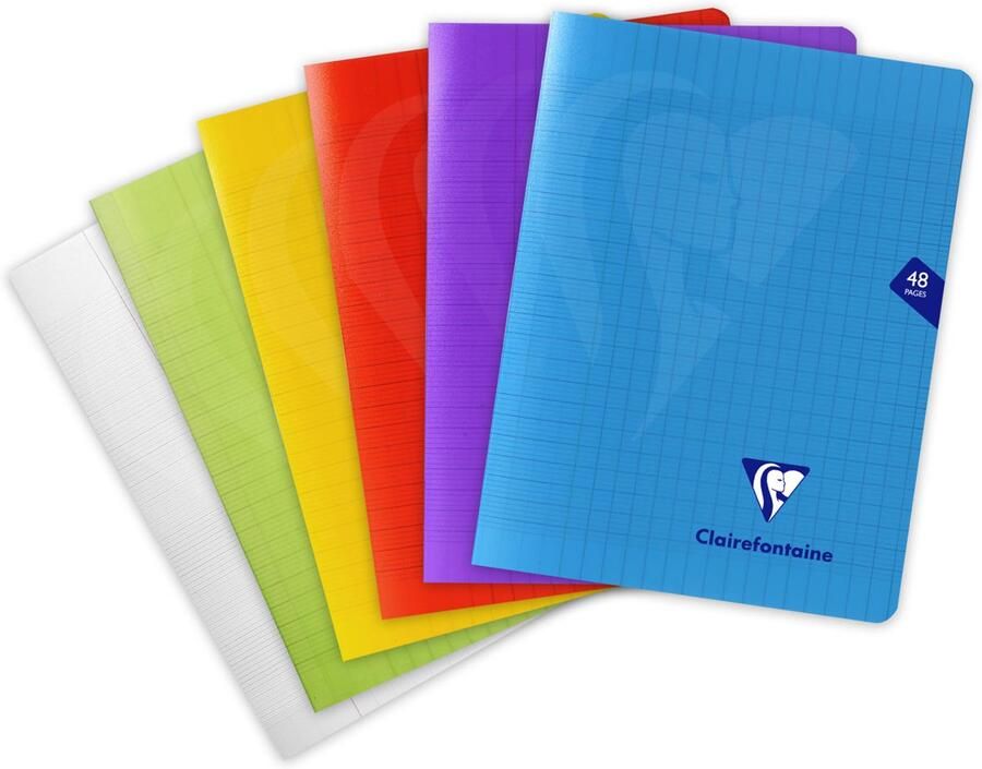 Clairefontaine schrift Mimesys ft 17 x 22 cm 48 bladzijden kaft in PP seyès geassorteerde kleuren