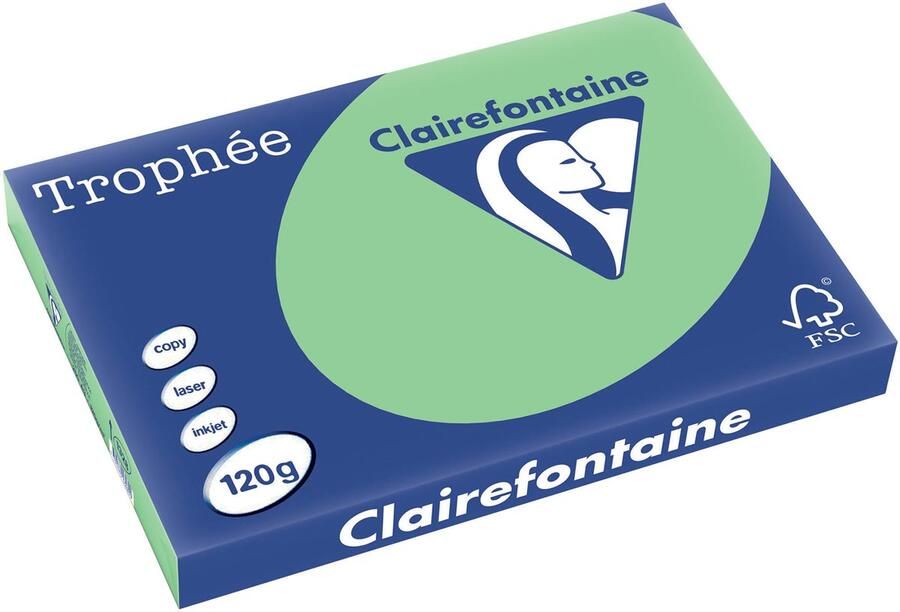 Clairefontaine Troph????e Pastel gekleurd papier A3 120 g 250 vel natuurgroen - Foto 1