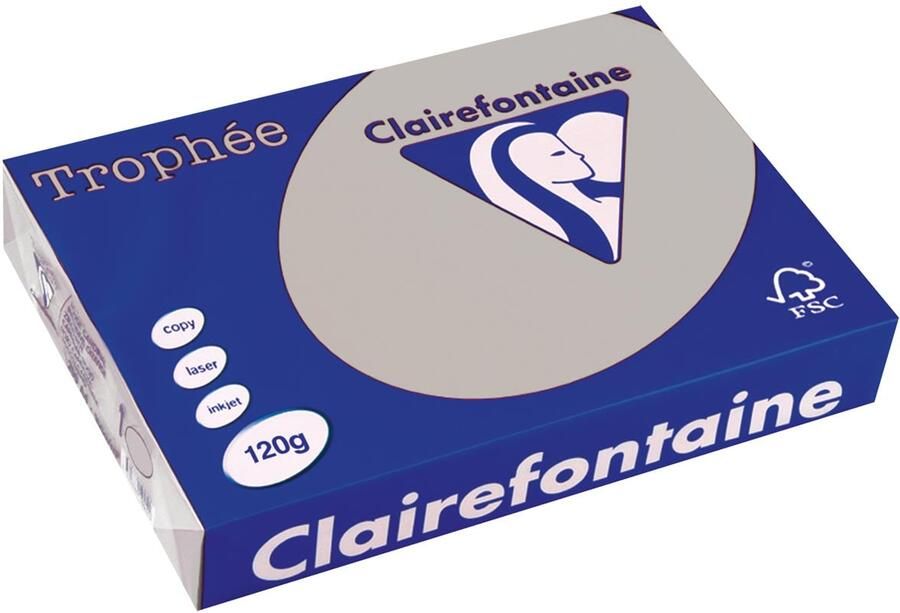 Clairefontaine TrophÃÂ©e Pastel gekleurd papier A4 120 g 250 vel lichtgrijs