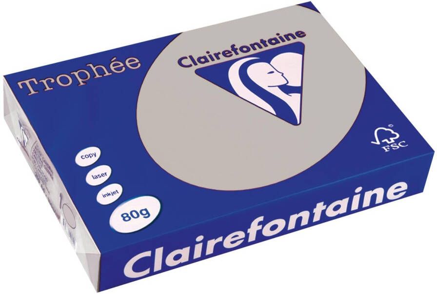 Clairefontaine TrophÃÂ©e gekleurd papier A4 80 g 500 vel lichtgrijs