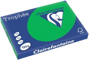 Clairefontaine Trophée Intens gekleurd papier A3 120 g 250 vel bijartgroen