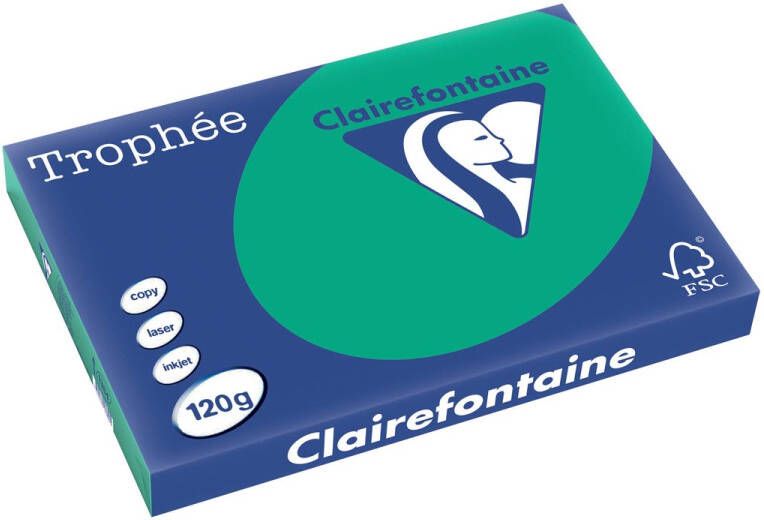 Clairefontaine Trophée Intens gekleurd papier A3 120 g 250 vel dennengroen