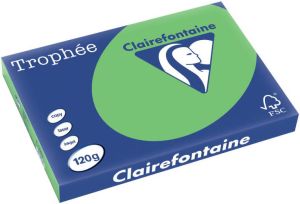 Clairefontaine Trophée Intens gekleurd papier A3 120 g 250 vel grasgroen