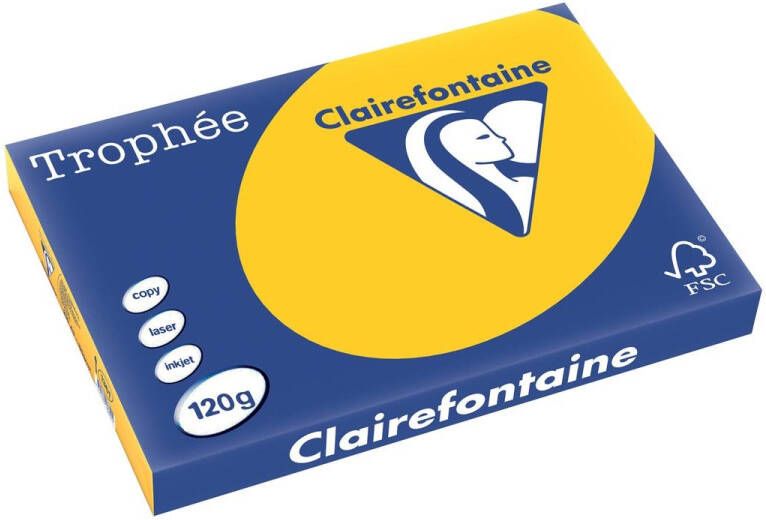 Clairefontaine TrophÃÂ©e Intens gekleurd papier A3 120 g 250 vel zonnebloemgeel