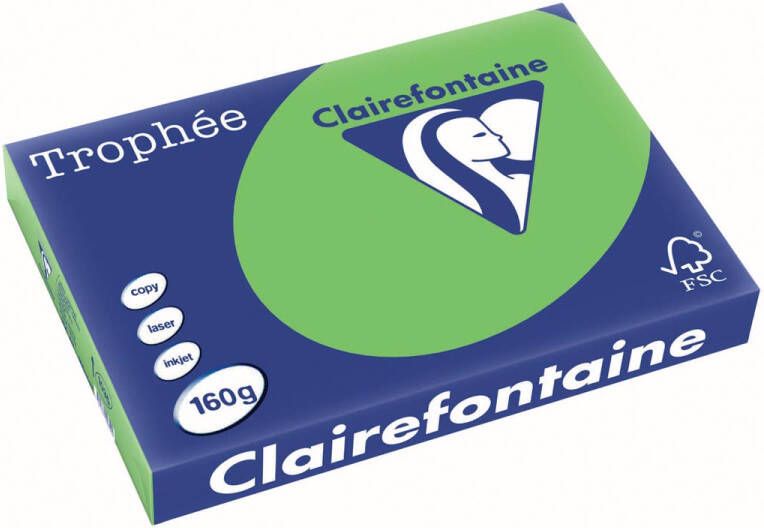 Clairefontaine Trophée Intens gekleurd papier A3 160 g 250 vel grasgroen