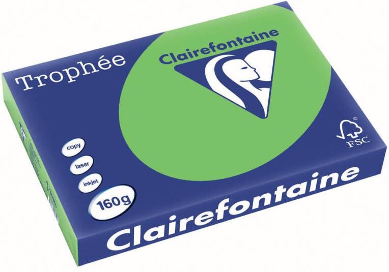 Clairefontaine TrophÃÂ©e Intens gekleurd papier A3 160 g 250 vel grasgroen
