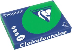 Clairefontaine Trophée Intens gekleurd papier A3 80 g 250 vel bijartgroen