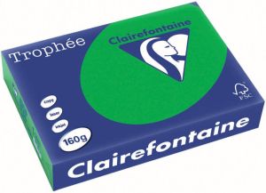 Clairefontaine Trophée Intens gekleurd papier A4 160 g 250 vel bijartgroen