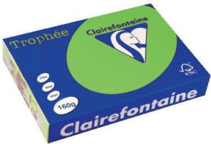 Clairefontaine Trophée Intens gekleurd papier A4 160 g 250 vel grasgroen