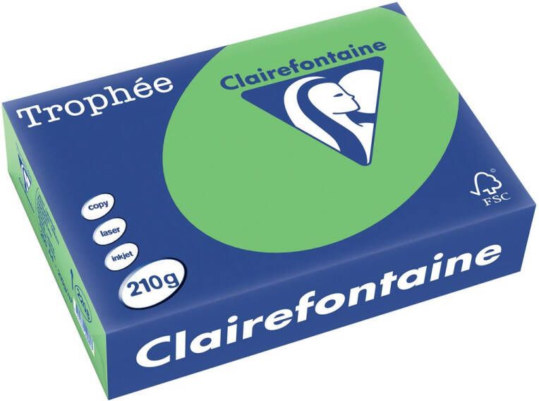 Clairefontaine Trophée Intens gekleurd papier A4 210 g 250 vel grasgroen