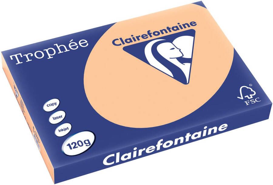 Clairefontaine Trophée Pastel gekleurd papier A3 120 g 250 vel abrikoos