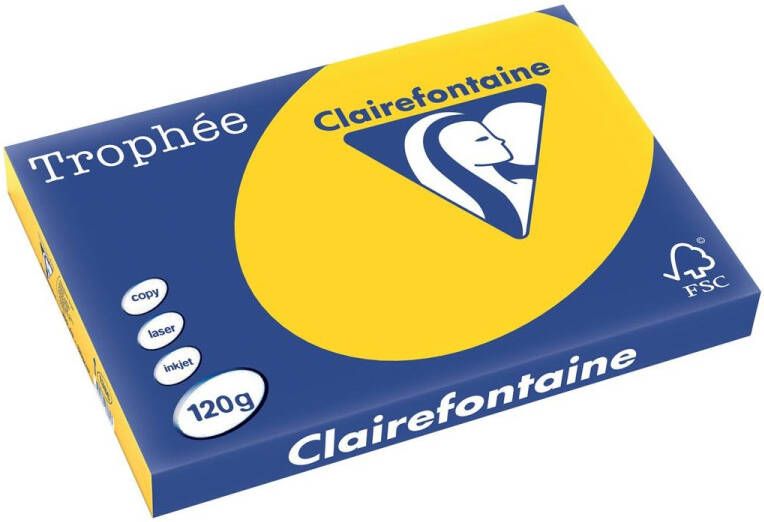 Clairefontaine TrophÃ©e Pastel gekleurd papier A3 120 g 250 vel goudgeel