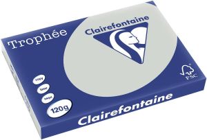 Clairefontaine Trophée Pastel gekleurd papier A3 120 g 250 vel lichtgrijs